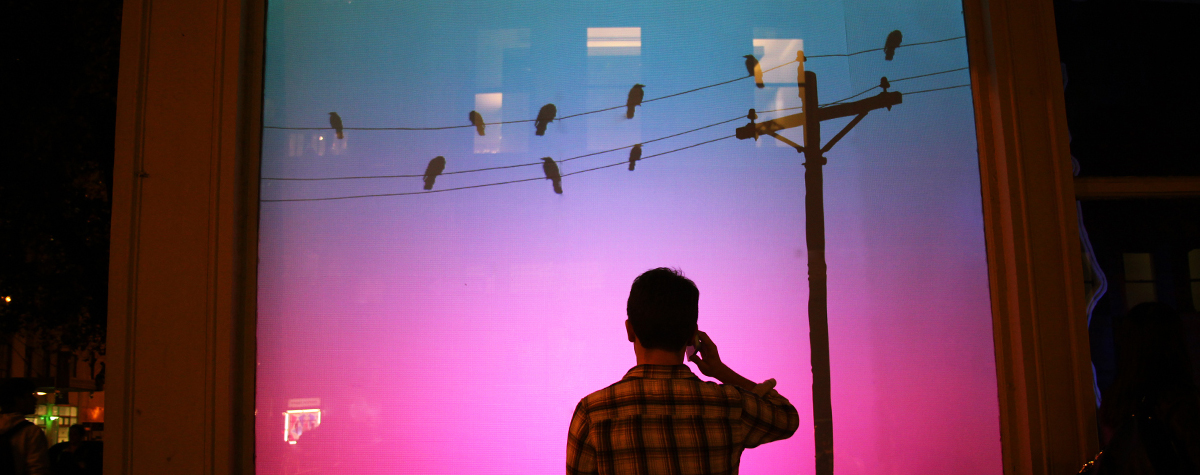 B.Light Design - Bird on Wire